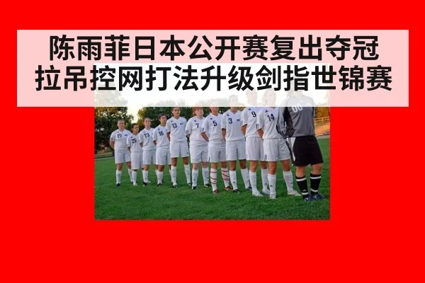 陈雨菲日本公开赛复出夺冠 拉吊控网打法升级剑指世锦赛